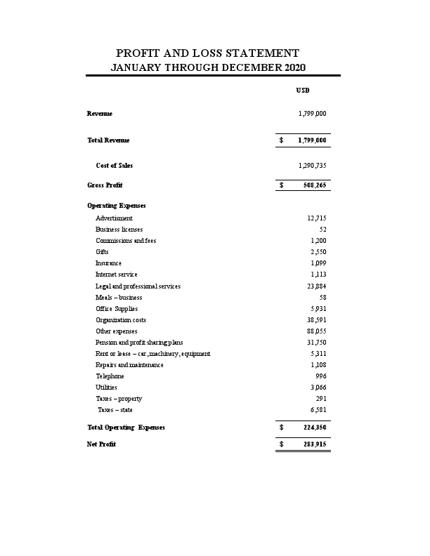 PROFIT AND LOSS STATEMENT.pdf
