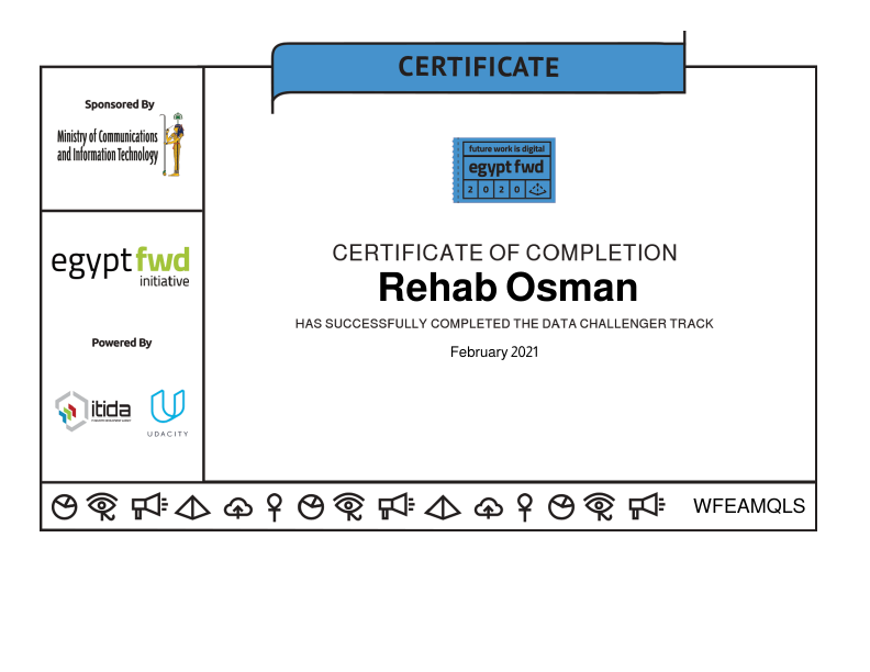 Rehab Data analysis challenger.pdf