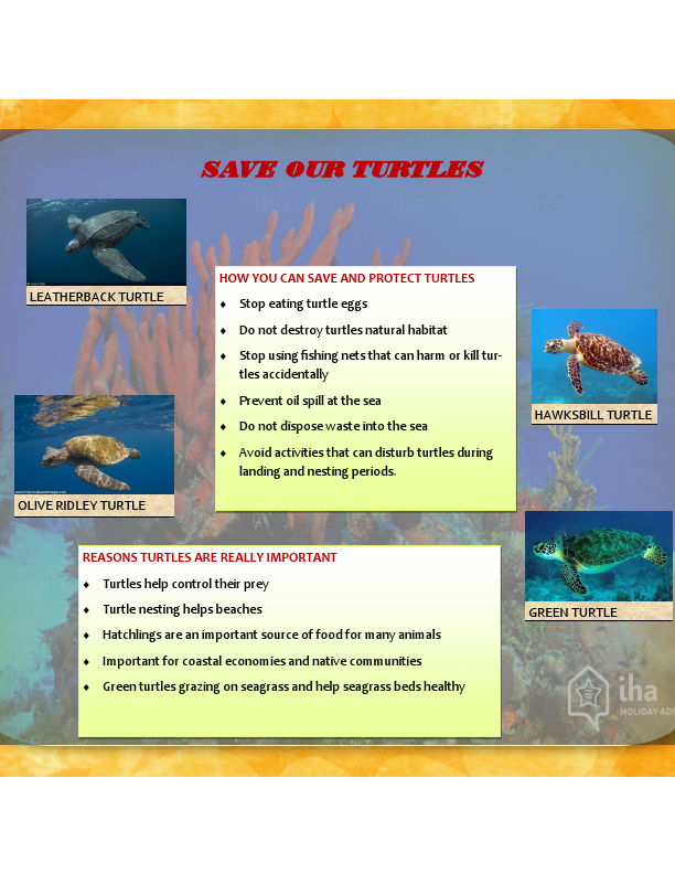 MGT Service Community.pdf