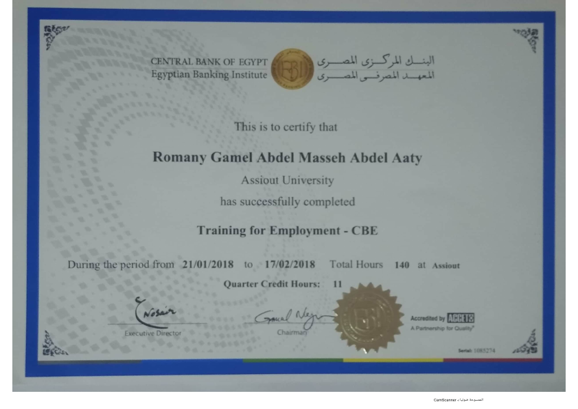 Egyptian Banking Institute.pdf