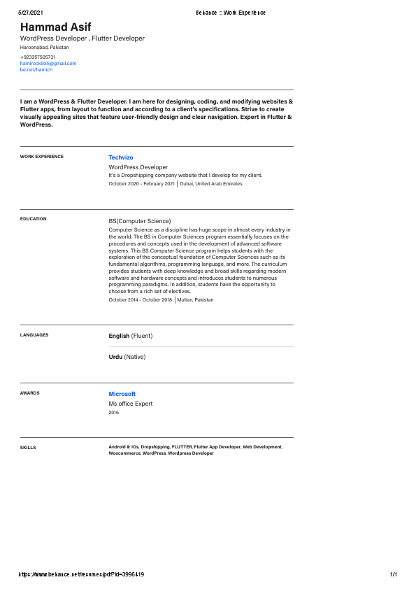 Behance __ Work Experience.pdf