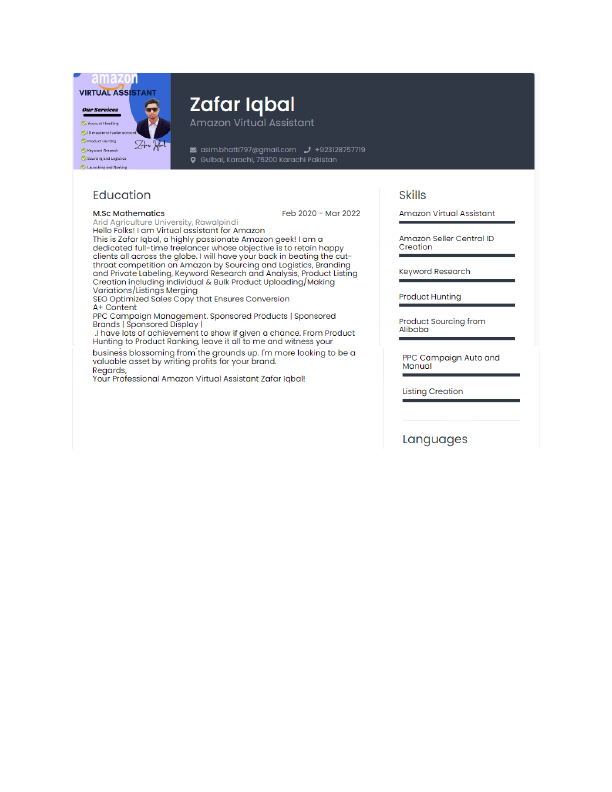 CV Zafar.pdf