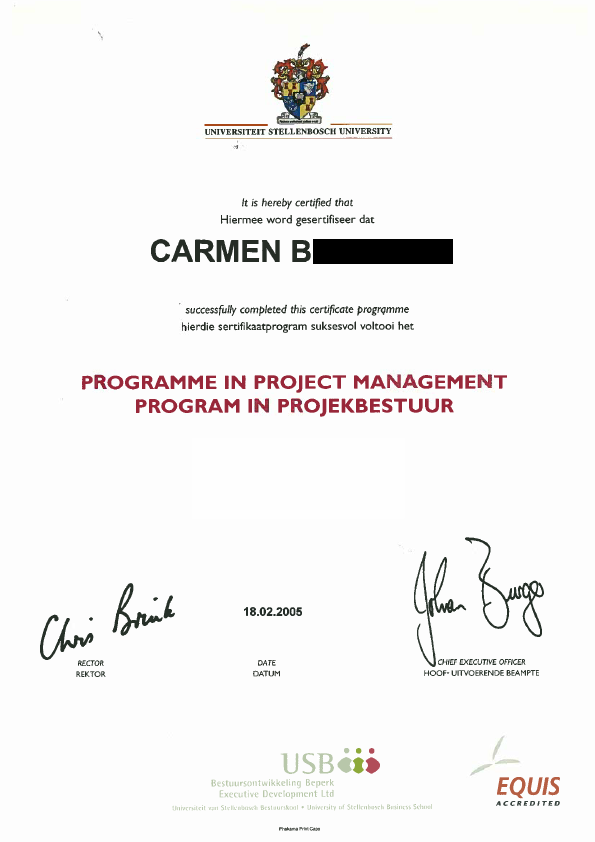 UBS Project Management CarmenB.pdf
