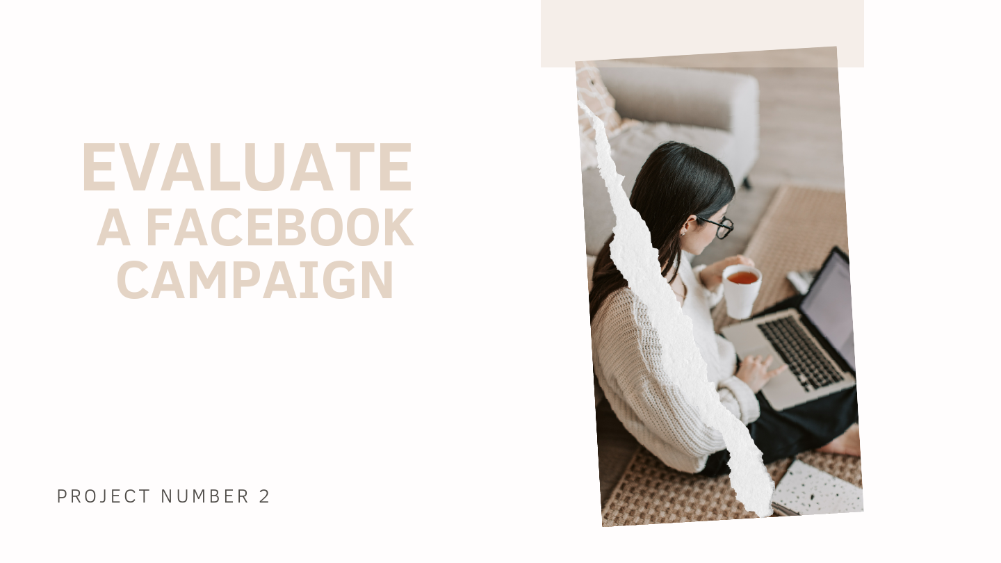Evaluate a Facebook Campaign Final.pdf