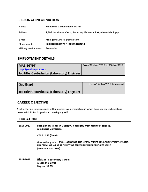 Mohamed Gamal - web.pdf