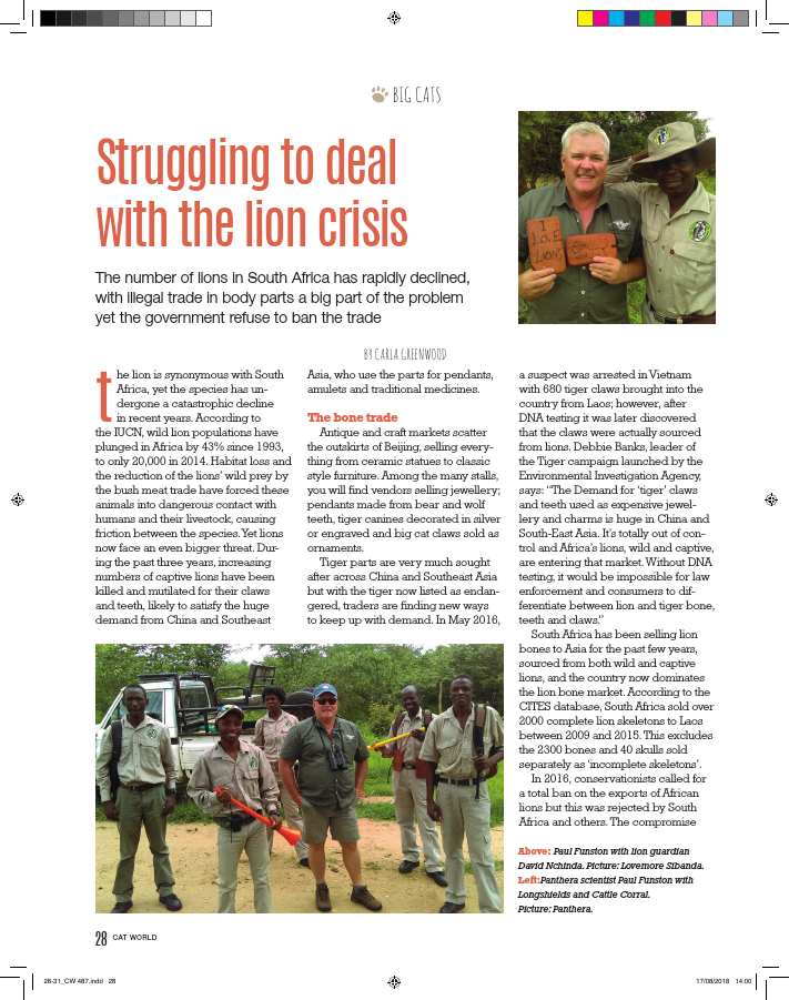28-31_CW 487 lions.pdf