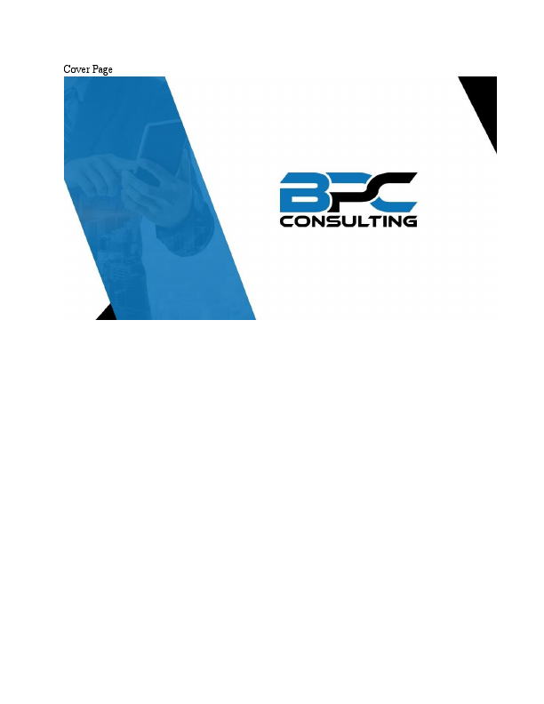 BPC Consulting_Business Plan.pdf