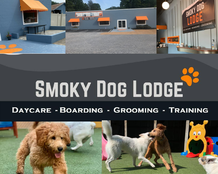 Smoky Dog Lodge _ Business Presentation or Pitch Deck.pdf