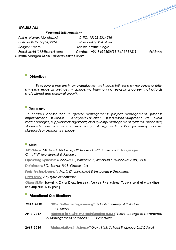 Wajid Ali Resumee 2.pdf