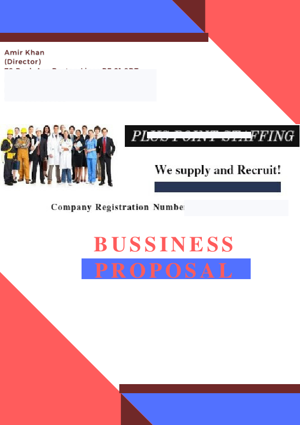 bussiness propsal for client.pdf