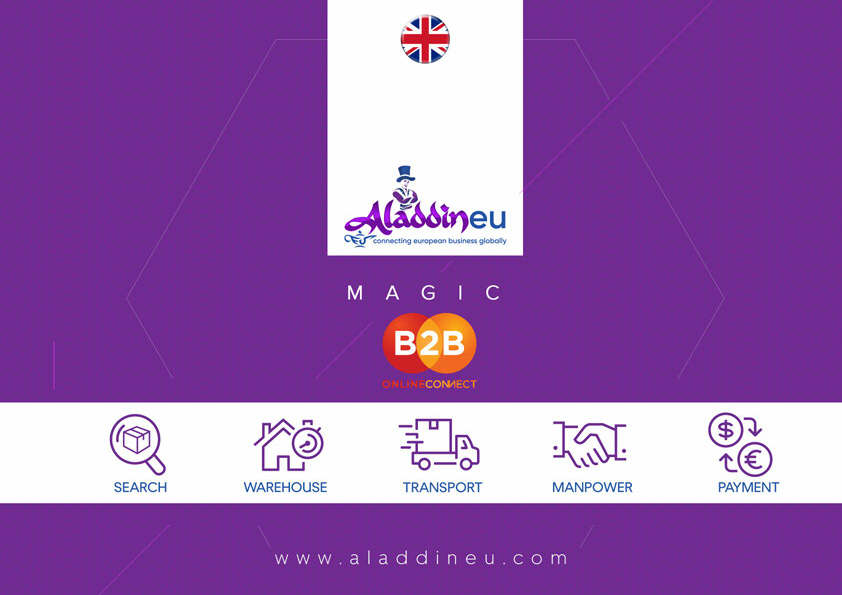 AladdineuBro-Eng-2_3-s.pdf