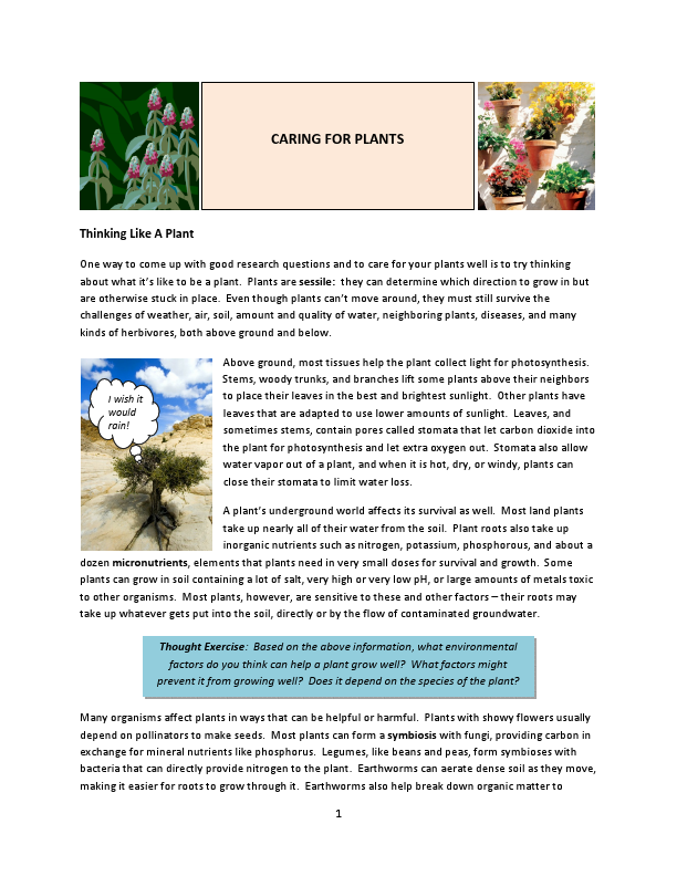 How to take care of flowers.pdf