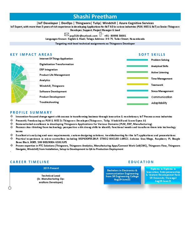 Resume_Freelancer_V1.pdf