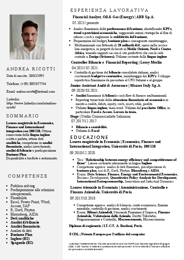 Andrea Ricotti CV.pdf