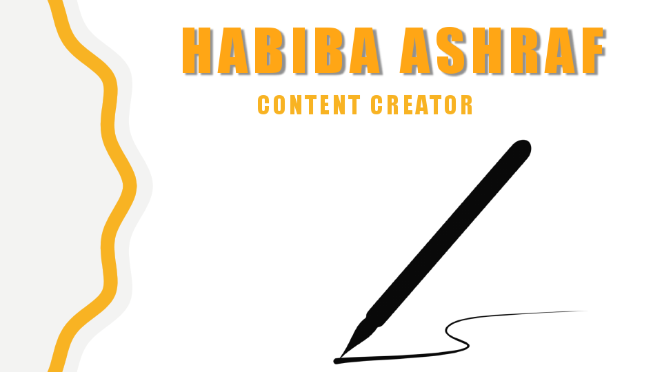 Habiba Ashraf Portfolio.pdf