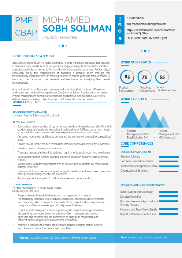 Mohamed Sobh -Senior product Manager-CV.pdf