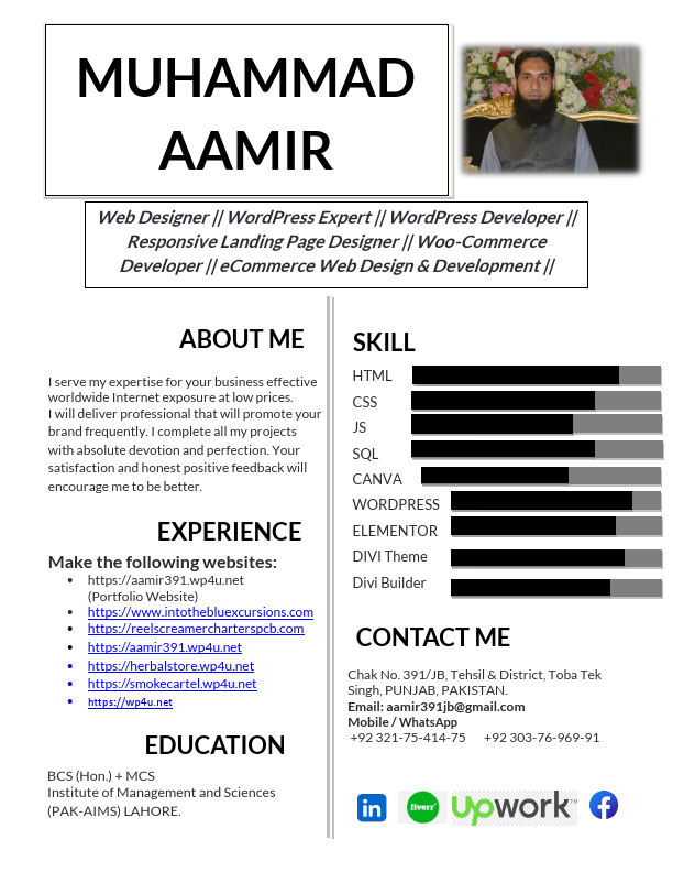 Professional CV (Aamir391).pdf