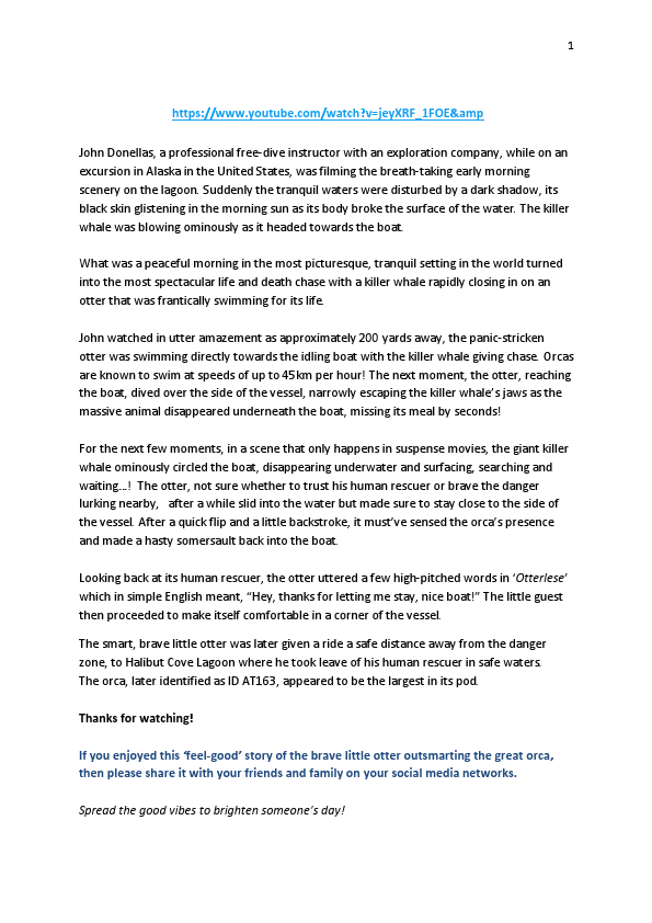 Video Article -the brave little otter.pdf