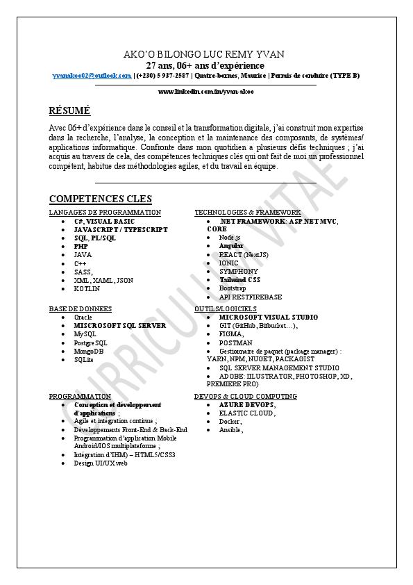 yvan-akoo-cv-2022-07-29-fr.pdf