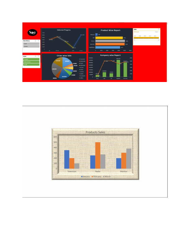 I will professional ms excel dashboard, pivot tables, and charts8.pdf