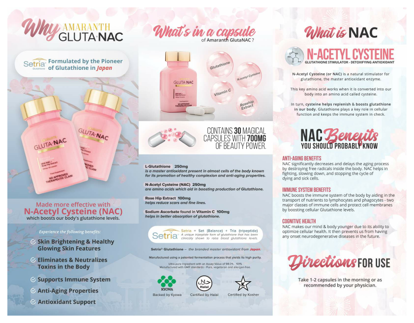 Vynz Santos - Brochure and Flyers for Technowise360.pdf