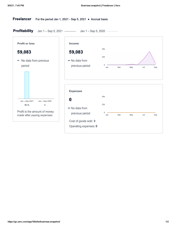 business snapshot.pdf