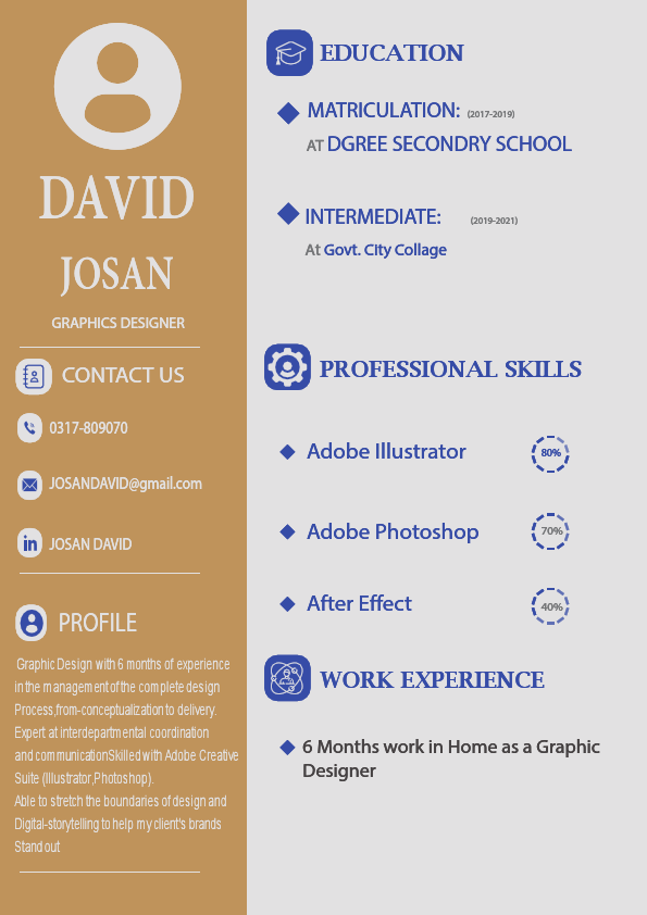 cv desing camel clur.pdf