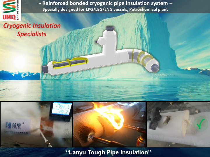 CRYOLNG SSUNIQ CRYOGENIC PRESENTATION 20-6-18 (1).pdf