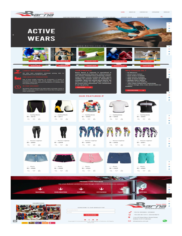 Our Website Template.pdf