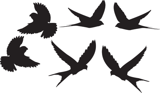 log6563 jpgFlying bird logo.pdf