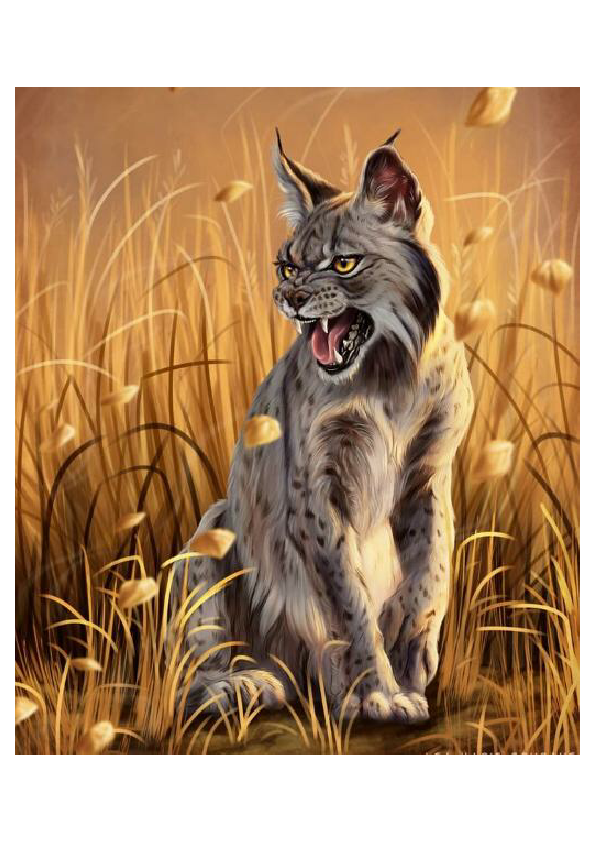 Animal illustrations1-merged.pdf