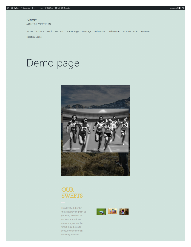 screencapture-localhost-wordpress-demo-page-2021-03-29-06_13_40.pdf