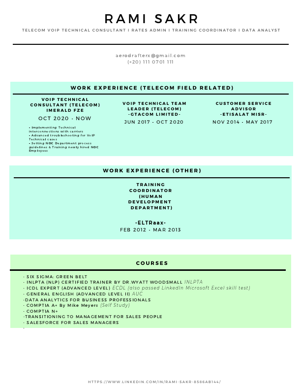 Rami Sakr Resume.pdf