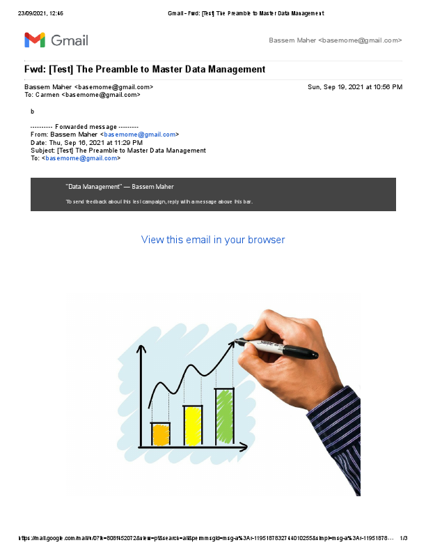 Email Cam-Preamble to Master Data Management.pdf