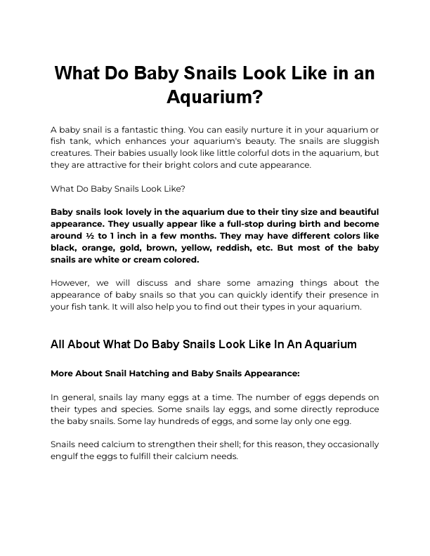 What Do Baby Snails Look Like in an Aquarium.pdf