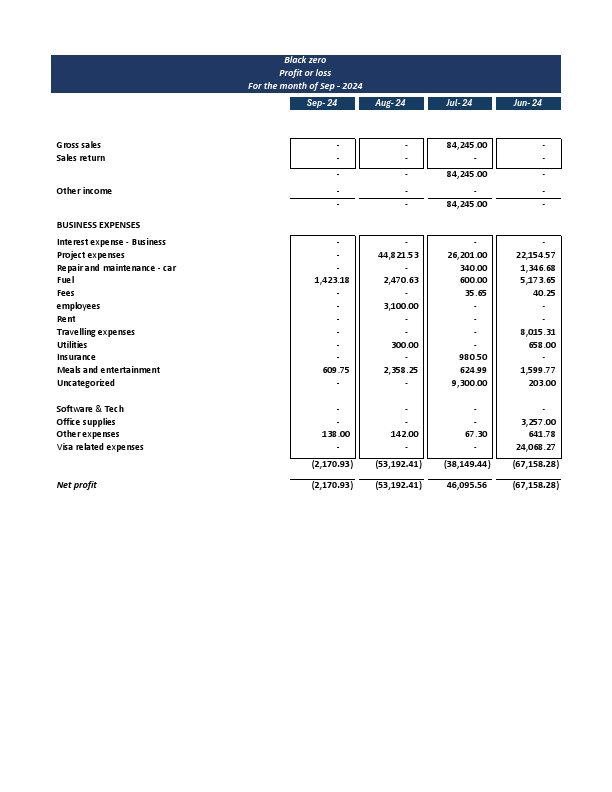 Financial Statements .pdf