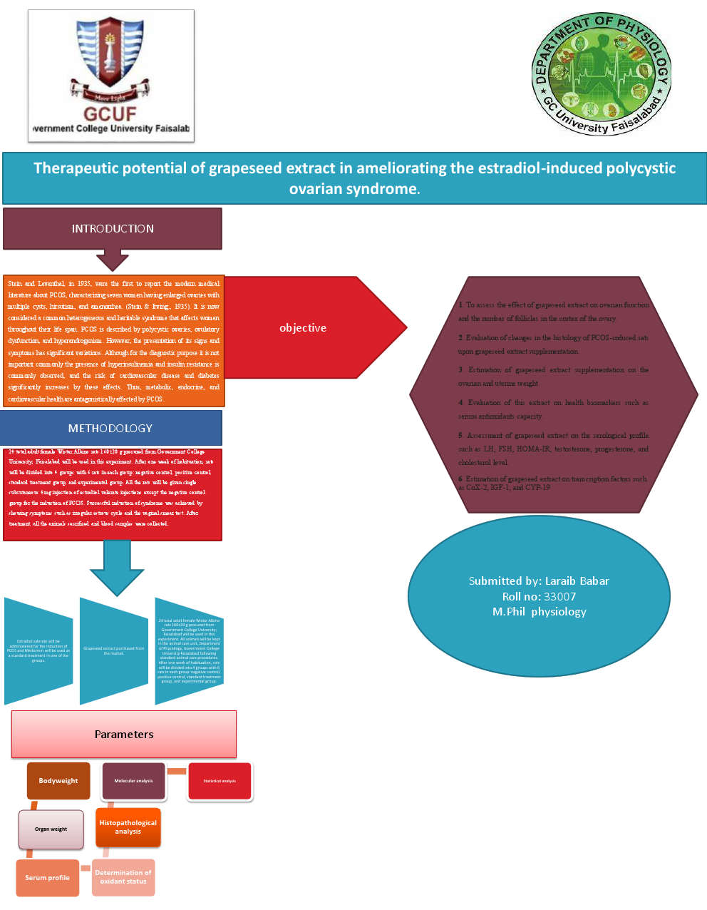 Laraib Babar poster.pdf