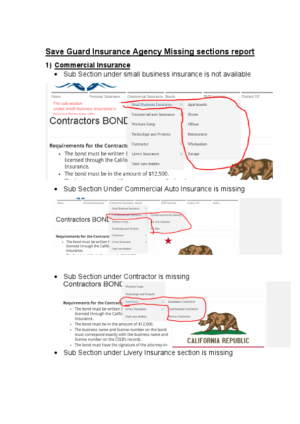 Updated SaveGuard.pdf
