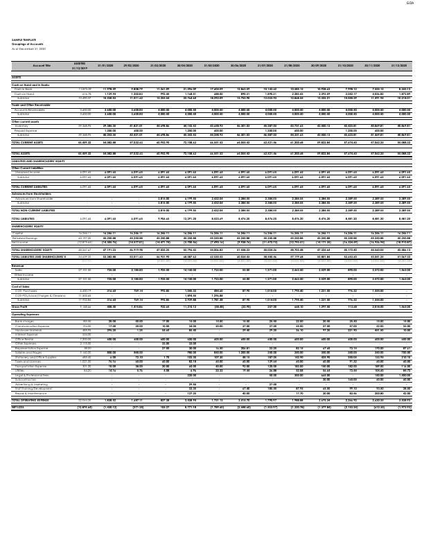 Financial Sample Template.pdf