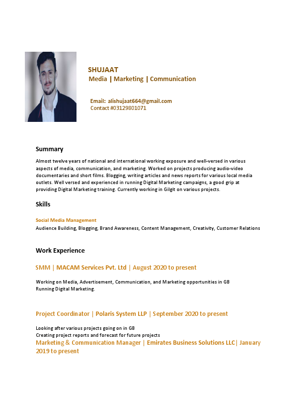 shujaat 3333333 cv.pdf