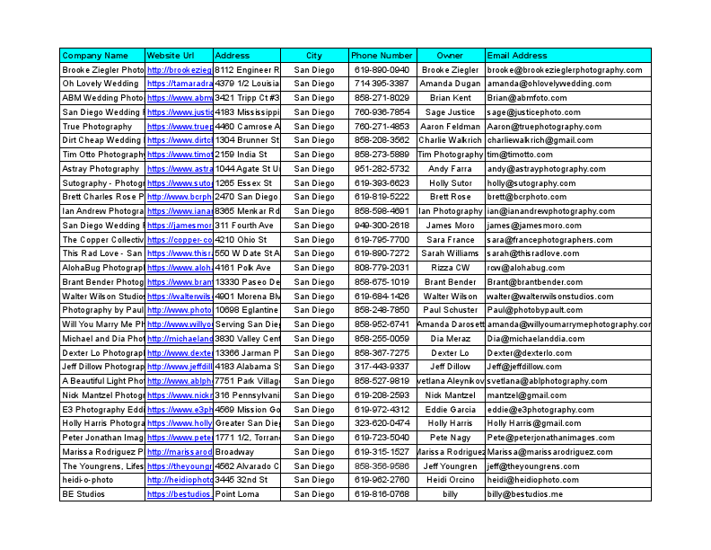 _Wedding_Photographer_Contacts_USA - Sheet1.pdf