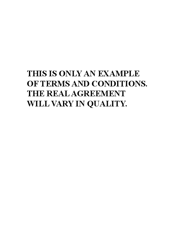 terms and conditions template 10.pdf