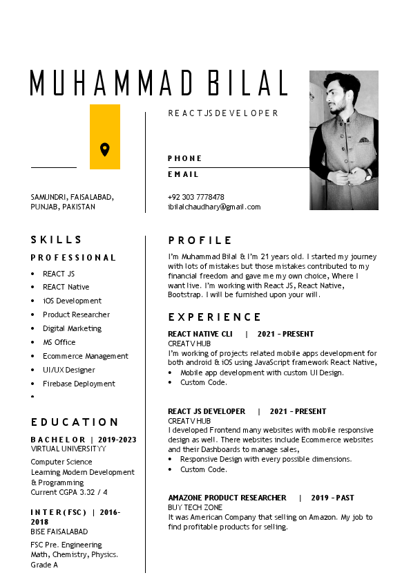 CV Professional (2)-1.pdf