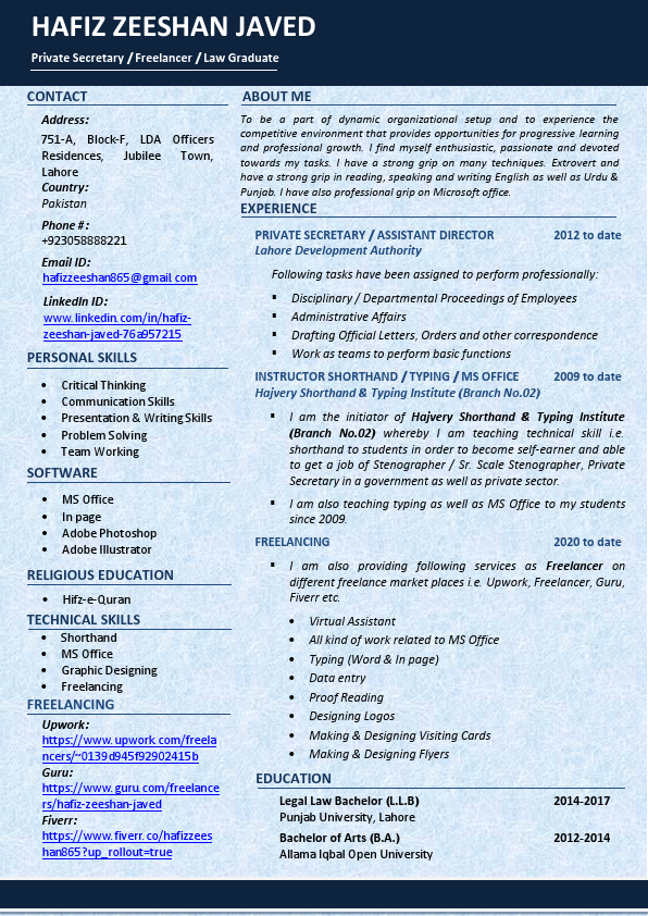 My Professional CV.pdf