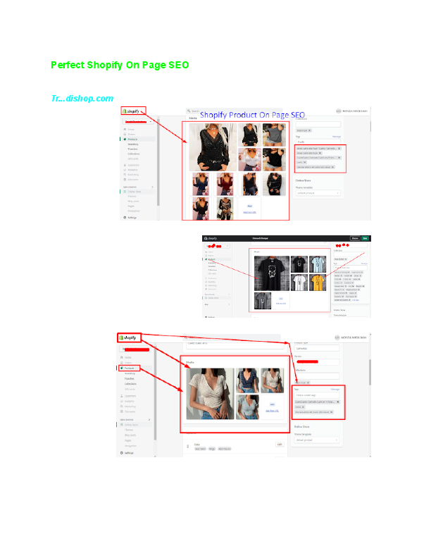 Shopify SEO Expert.pdf