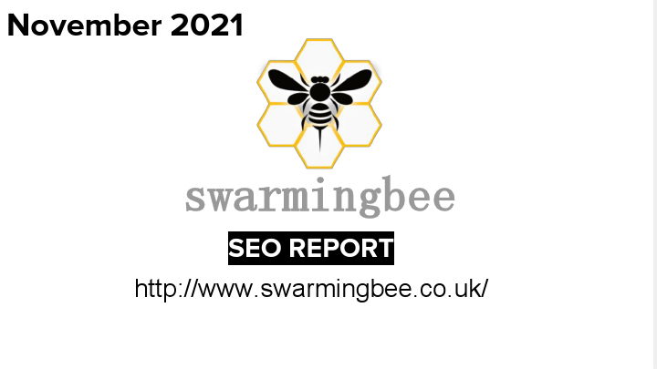 SEO Report_swarmingbee.pdf