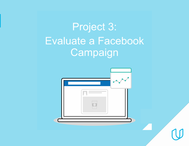 Facebook ads project.pdf