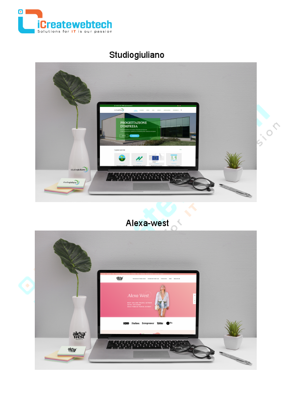 iC Portfolio docs.pdf