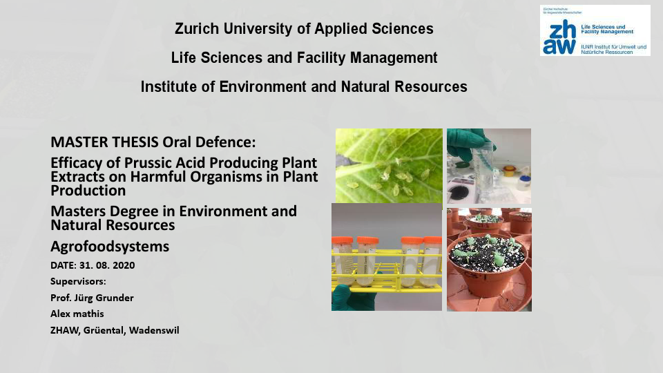 Bachelor-Master Thesis portfolio.pdf