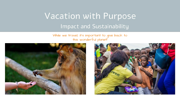 _Vacation With Purpose-Pitch Deck (4).pdf